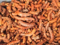 Turmeric: Orange Is The New Black For Pain