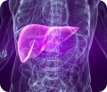 Turmeric May Repair and Regenerate Diabetic Liver Function