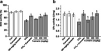 urmeric extract and its active compound, curcumin, protect against chronic CCl4-induced liver damage by enhancing antioxidation. Turmeric extract and curcumin protect the liver from CCl4-induced oxidative stress. Rats were intraperitoneally injected with CCl4 (0.1 mL/100 g body weight) every other day for 4 weeks. Turmeric extract (100, 200, and 300 mg/kg) and curcumin (200 mg/kg) were given once daily. After liver samples were collected from all sacrificed animals, the levels of SOD (a) and GPx (b) were measured. # p < 0.05 vs. the CCl4 group Hwa-Young Lee, et al. BMC Complement Altern Med. 2016;16(1):316