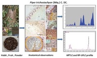 Pharmacognostic Screening of Piper trichostachyon Fruits and its Comparative Analysis with Piper nigrum Using Chromatographic Techniques. Vinayak Upadhya, et al. Pharmacogn Mag. 2016 May;12(Suppl 2):S152-S158