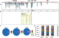 The sRNAome mining revealed existence of unique signature small RNAs derived from 5.8SrRNA from Piper nigrum and other plant lineages. Distribution and abundance pattern of ribosomal RNA derived small RNAs in Piper nigrum small RNA libraries (A) Distribution of unique srRNA candidates against black pepper rRNA. (B) Abundant srRNA from Pn_CL (upto100 rpm) mapped against rRNA. Most of the abundant reads were mapped at the 5.8S rRNA region. (C) The proportion of 5.8S rRFs in the Pn_CL, Pn_IL and Pn_IR libraries. (D) The length categorisation of 5.8S rRFs among the three libraries. Srinivasan Asha, et al. Sci Rep. 2017;7:41052