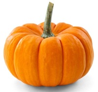 PUMPKIN - Cucurbita maxima
