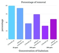Comparison of the percentage of cadmium with different treatments carried out: alginate beads without Chlorella sp. (Without Chlorella), and alginate beads with Chlorella sp. ( Chlorella).. From: Analysis of removal of cadmium by action of immobilized Chlorella sp. micro-algae in alginate beads. Christian Valdez, et al. F1000Res. 2018;7:54.
