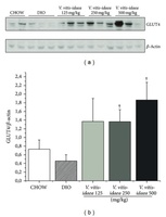 Lingonberry (Vaccinium vitis-idaea L.) Exhibits Antidiabetic Activities in a Mouse Model of Diet-Induced Obesity. V. vitis-idaea increases GLUT4 protein content in soleus muscle of DIO mice. Samples of soleus muscles were obtained from CHOW, DIO control, and DIO mice fed with V. vitis-idaea (125, 250, and 500 mg/Kg) and analysed by immunoblotting with antibodies specific to GLUT4. (a) Representative blots for each group are shown. (b) Data are expressed as GLUT4/β-actinand are presented as mean ± SEM from 12 animals per experimental group. † indicates a P value < 0.05 which is significantly different from DIO control group. Hoda M. Eid, et al. Evid Based Complement Alternat Med. 2014;2014:645812