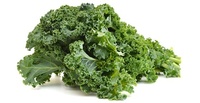 Kale - Brassica oleracea