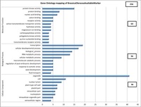 Gene Ontology (GO) mapping of cabbage genes using the sequence of the Brassica oleracea genome and 425 BRP based on the Brassica rapa genome.. From: Comparative Analysis of Disease-Linked Single Nucleotide Polymorphic Markers from Brassica rapa for Their Applicability to Brassica oleracea . Young-Il Cho, et al. PLoS One. 2015;10(3):e012016