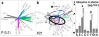 The comparison of acquired peer-social behaviour patterns together with plasma ubiquinol.. From: Peer attachment formation by systemic redox regulation with social training after a sensitive period. The behaviour features of various conditions were compared by PCA including serum ubiquinol level. (a) The factor loading vectors of the behaviours of three stages of development. (b) The behaviour data of each condition was compared using the variance ellipses based on PCA of behaviour data and plasma ubiquinol at P21 (blue vector). The distribution of Group F data was significantly different from that of condition A–D and shifted to positive affection (j-call parameter) according to Wilks' lambda analysis (asterisk). (c) Ubiquinol concentration in blood plasma. The significant difference of plasma ubiquinol was observed under two conditions, ubiquinol at high (1200 mg/kg weight·day)with feeding inside of the cage and low (200 mg/kg weight·day) with feeding out (F) by one-way ANOVA and Tukey's post-hoc tests in C (*) and F (double cross). Mamiko Koshiba, et al. Sci Rep. 2013;3:2503