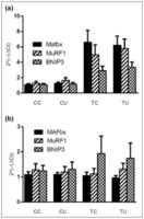 Ubiquinol Reduces Muscle Wasting but Not Fatigue in Tumor-Bearing Mice. Effect of tumor growth and ubiquinol on expression of MAFbx, MuRF1, and BNIP3 mRNA in gastrocnemius muscle (a) and heart (b). Main effect of tumor in gastrocnemius, p < .01. CC = control no drug, n = 16; CU = control/ubiquinol, n = 16; TC = tumor no drug, n = 16; TU = tumor/ubiquinol, n = 16. Yvonne Y. Clark, et al. Biol Res Nurs. ;17(3):321-329