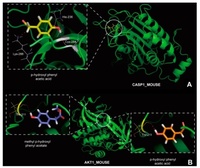 In Silico Analysis and Experimental Validation of Active Compounds from Cichorium intybus L. Ameliorating Liver Injury