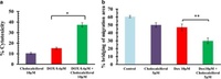 Cholecalciferol-PEG Conjugate Based Nanomicelles of Doxorubicin for Treatment of Triple-Negative Breast Cancer. Effect of cholecalciferol on anticancer activity of DOX. a Cytotoxicity of cholecalciferol (10 μM), DOX (0.4 μM), and a combination of DOX (0.4 μM) and cholecalciferol (10 μM) on MDA-MB-231DR using crystal violet assay. b In vitro migration assay of cholecalciferol (10 μM), DOX (0.4 μM) and a combination of DOX (0.4 μM) and cholecalciferol (10 μM) on MDA-MB-231DR in a 96-well plate for 48 h after scratch formation. *p < 0.05 was considered significant, and p value is represented as **p < 0.01 and *p < 0.05. Error bars refer to SD Shallu Kutlehria, et al. AAPS PharmSciTech. ;19(2):792-80