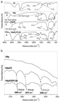 Multifunctional hydroxyapatite and poly(D,L-lactide-co-glycolide) nanoparticles for the local delivery of cholecalciferol.