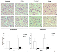 2018. -Long-Term Dietary Intake of Chia Seed Is Associated with Increased Bone Mineral Content and Improved Hepatic and Intestinal Morphology in Sprague-Dawley Rats Evelyn M. Montes Chañi 1,2OrcID, Sandaly O. S. Pacheco 1,2OrcID, Gustavo A. Martínez 1, Maykon R. Freitas 1, Joaquin G. Ivona 1, Javier A. Ivona 1, Winston J. Craig 1,3 and Fabio J. Pacheco 1,2,* OrcID 1 Center for Health Sciences Research, School of Medicine & Health Sciences, Universidad Adventista del Plata, Libertador San Martín, Entre Ríos 3103, Argentina 2 Institute for Food Science and Nutrition, Universidad Adventista del Plata, Libertador San Martín, Entre Ríos 3103, Argentina 3 Department of Public Health, Nutrition and Wellness, School of Health Professions, Andrews University, Berrien Springs, MI 49104, USA