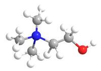 American Chemical Society Choline - American Chemical Society