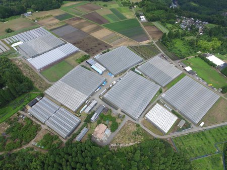 有限会社お花屋さんぶんご清川