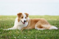 Fotó: Anettphoto