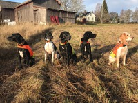 Flo-Jo,Snöa,Messi,Assar,Lina