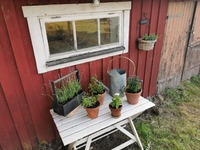 Vårpyssel