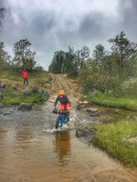 Kuva: Tami Tarkiainen