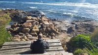 Méditation au bord de l'eau