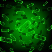 Bacterias