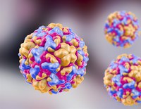 Rhinovirus