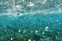 Microplásticos en el mar