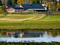 Yrjaksen tila