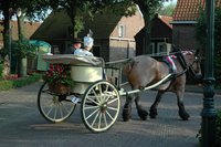 Sjees rijden