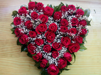 corazón 35 rosas nº7