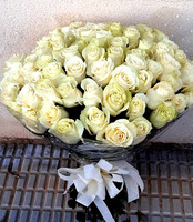 rosas blancas nº8
