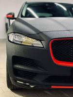 CarWrapping Bizkaia vinilo piel leopardo