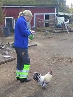 Suunnittelua Raivo-kukon kanssa.