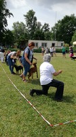 Těžké rozhodování - pan Karel Hořák v akci