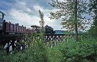 B.C. Forest Discovery Centre train