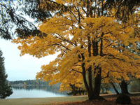 West Shawnigan Lake Park
