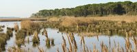 "Parco del delta del Po"