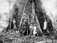 Pioneer settlers