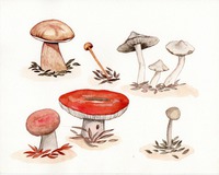 Ilustración en acuarelas y lápiz de color
