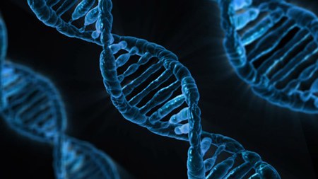 πώς να χάσετε βάρος γρήγορα μετά από 50 χρόνια