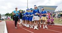 Rok 2014