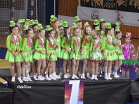 Rok 2017