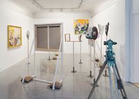 POINT VOYEUR_, 2015, pohledová instalace, foto: Chistina Leithe Hansen