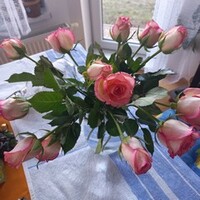Dnes jsem dostala :-)