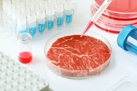 Carne artificial desarrollada en laboratorio