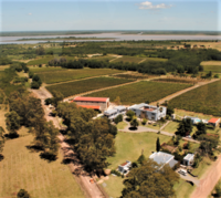 Vista aérea de Narbona Carmelo (foto gentileza Narbona)