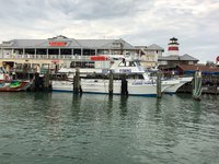 This is John's Pass, Florida. We have so much to do and even offer deep sea fishing or dolphin watching