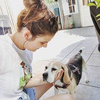 BEAGLE FILA