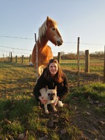 FRANSE BULLDOG LOU