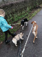 SAMMEKE, LOU EN MULAN