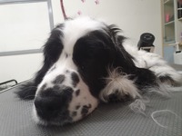 Relaxed bij de eerste trim behandeling.